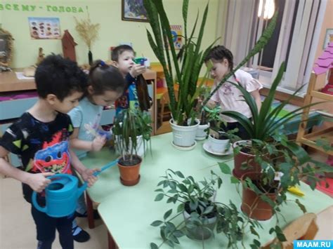Расположение поселка в прекрасном уголке природы