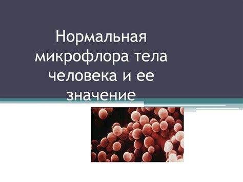 Распространение вредоносных микроорганизмов во время поцелуев