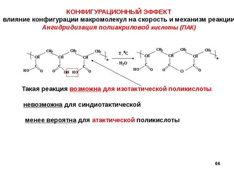 Расщепление макромолекул с участием лизосом: забанные химические реакции