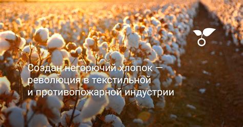 Революция в текстильной индустрии: новые горизонты с пряжей из уникального сырья