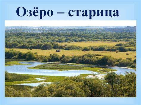 Реки и озёра: водные пространства для обитания муксуна
