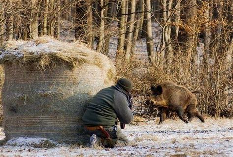 Рекомендации по успешной охоте на добычу осенью: секреты удачного поиска и особенности охоты