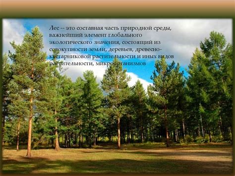 Решение жилищного вопроса с использованием земли из лесного фонда