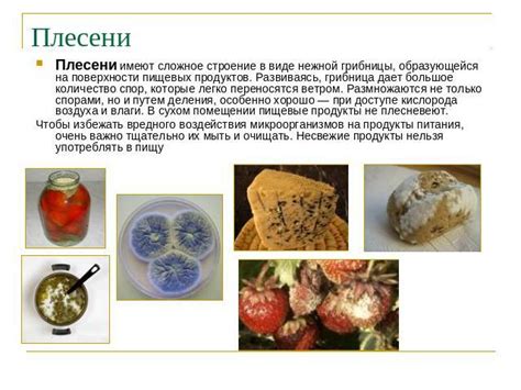 Риск образования микроорганизмов и плесени