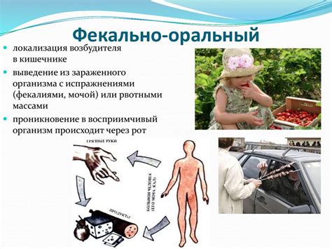 Риск передачи инфекции с кожи головы на тело