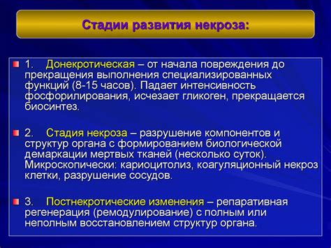 Роли воздействия радиации и химических веществ в механизме развития некроза