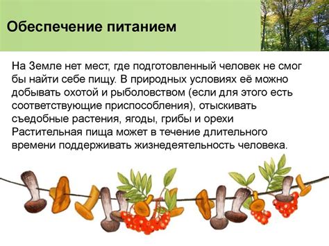 Роль Иртыша в местной природной среде и экономике