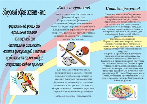 Роль активности и развлечений в установлении здорового питьевого режима у ваших пушистых спутников