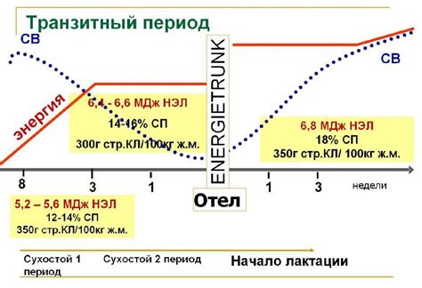 Роль беременности и лактации в передаче питательных веществ от матери к ребенку