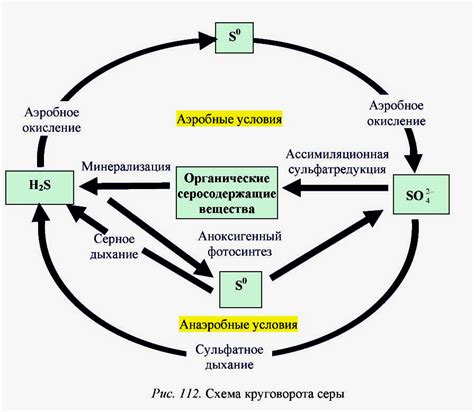 Роль буквы «w» в химическом контексте