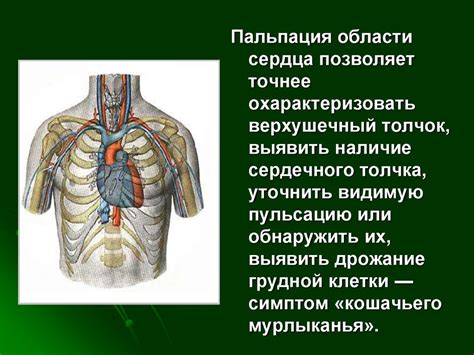 Роль вовремя обнаруженных изменений в мозге и сердечно-сосудистой системе детей