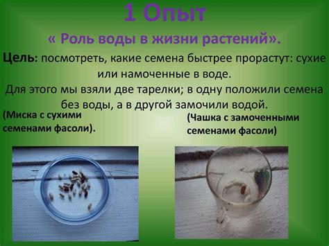 Роль декоративных спиц в искусстве оформления