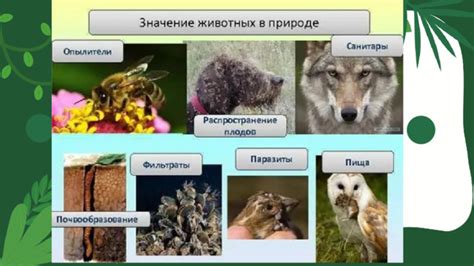 Роль животного мира в судьбе региона и города