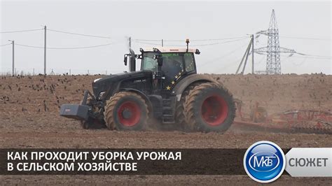 Роль и значение работников уборки урожая в сельском хозяйстве