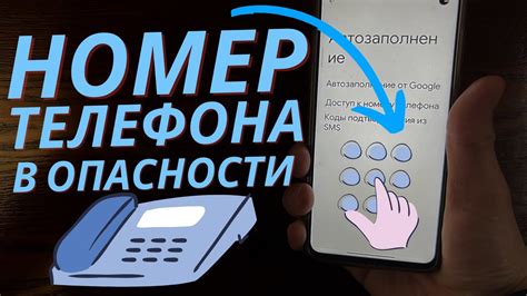 Роль контактного номера телефона в повседневной жизни Миланы Хаметовой
