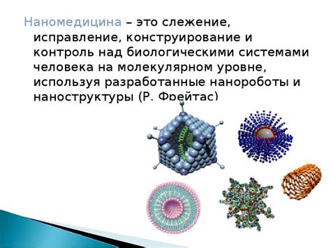 Роль мезосом у животных: контроль над важными биологическими процессами