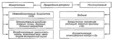 Роль полива перед перепланировкой: неотъемлемая необходимость и потенциальные преграды