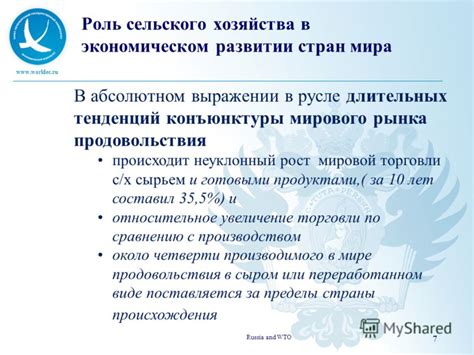 Роль популярного фрукта в экономическом развитии стран-производителей