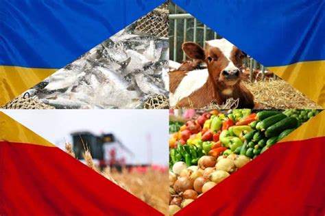 Роль птичьего рынка в сельскохозяйственном секторе Ставропольского края
