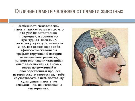 Роль сна в сохранении памяти