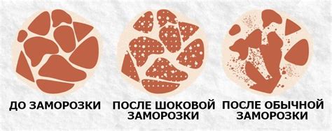 Роль сырого теста в процессе заморозки сосисок: особенности данного процесса