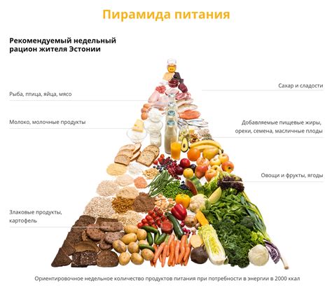 Сбалансированное питание при ограничении энергии