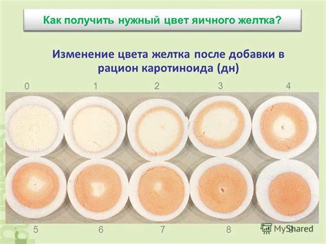 Секреты пигментации желтых яичных желтков