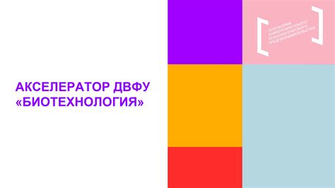 Сигнал окончания устаревших связей: мечта о очищении гребешка от волосков