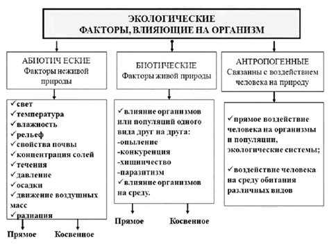 Сила внешних факторов и окружающей среды: их влияние на скорость перемещения атомов и молекул