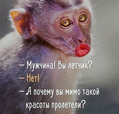 Смех и риск: феномен физиологической реакции на смешные шутки