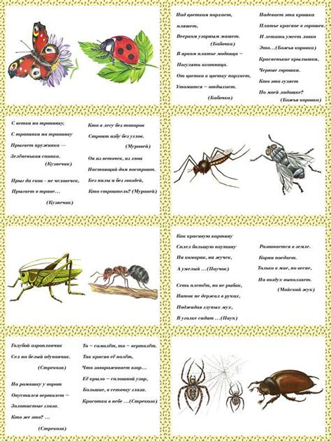 Смысловые трактовки сновидений о насекомых-кровососах