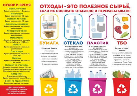 Собаки и продукты переработки: важная информация