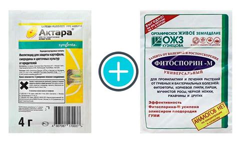 Совместимость Фитоспорина и Бордосской жидкости: исследования и опыт