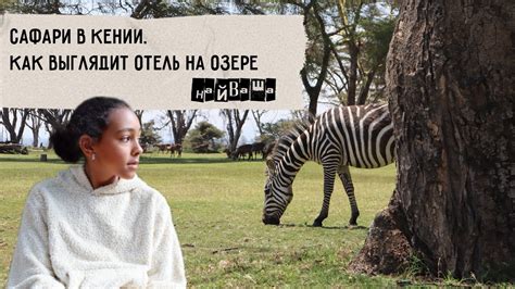 Современное значение Джу Сан Ли: популярное туристическое направление
