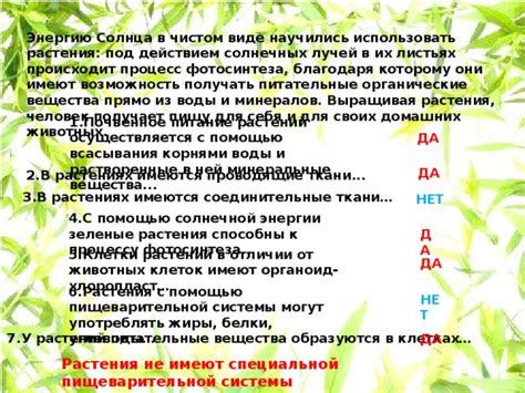 Содержание и питательные вещества солнечных семечек