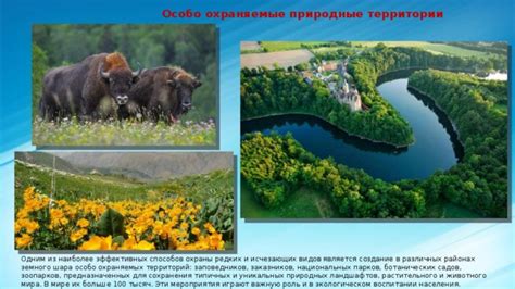 Создание охраняемых территорий и заповедников для укрепления популяции видов, подлежащих охране