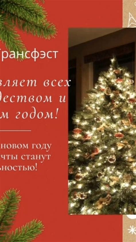 Солнцеподобная гармония: как проникнуться светом и теплом каждый день