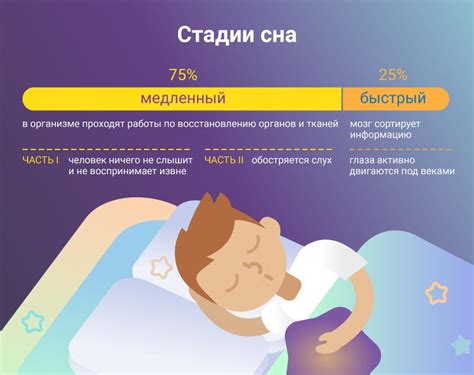 Сон и здоровье: научные аспекты полной практики спокойного сна