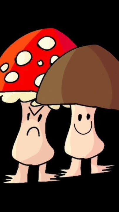 Соседи с... опытом: знакомство с новыми персонажами у фермерского двора