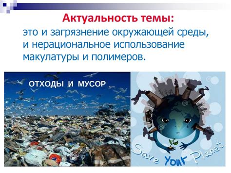 Сохранение природы у берега: важный шаг к экологической чистоте