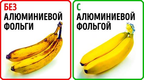 Сохраните свежесть и аромат овощей надолго