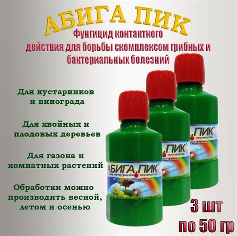 Специальные средства для борьбы с грибком и их эффективность