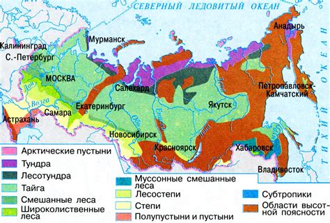 Специфические природные условия в российских регионах, способствующие развитию ясеня