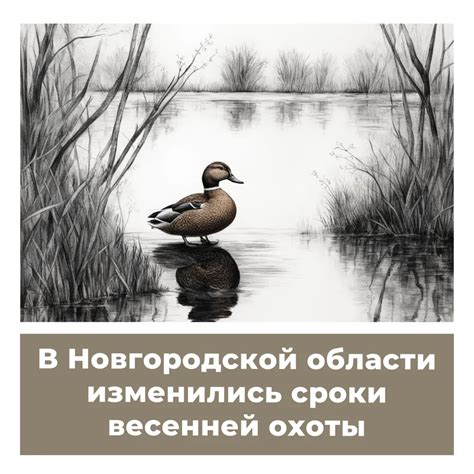 Сроки и условия действия разрешения на охоту в Новгородской области