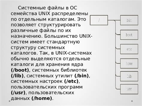 Стандартные пути к основным каталогам ОС