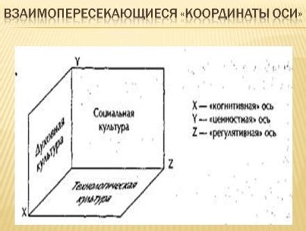 Структура орбитального пространства