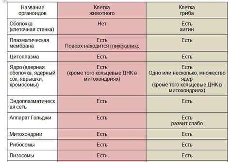 Сходства и отличия между афалазой и афалой