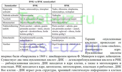 Сходства и различия между направленными отрезками BC и AD в геометрической фигуре