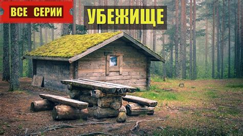 Тайга Красноярского края - идеальная убежище для самоизбранных обитателей природы