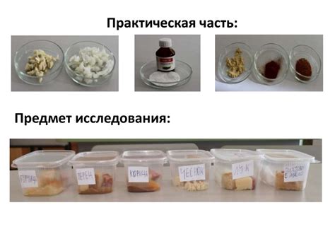 Тема 1: Влияние температуры на сохранность пищевых продуктов